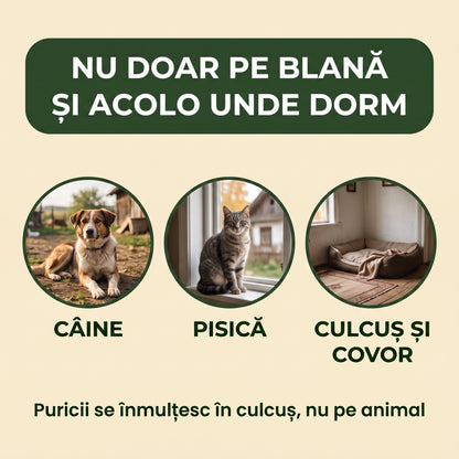 PuriStop™ – Pulbere Împotriva Puricilor pentru Câini și Pisici, minerală și fără miros
